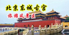 美女黄视频免费看逼逼中国北京-东城古宫旅游风景区